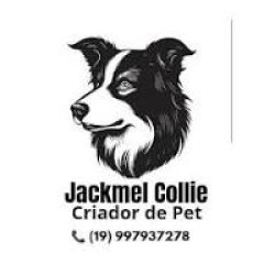 jackmelcollie